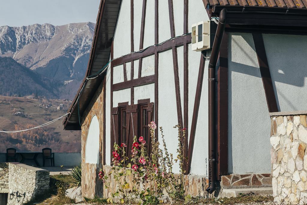 Drumul Carului Villa Moieciu de Jos Ngoại thất bức ảnh