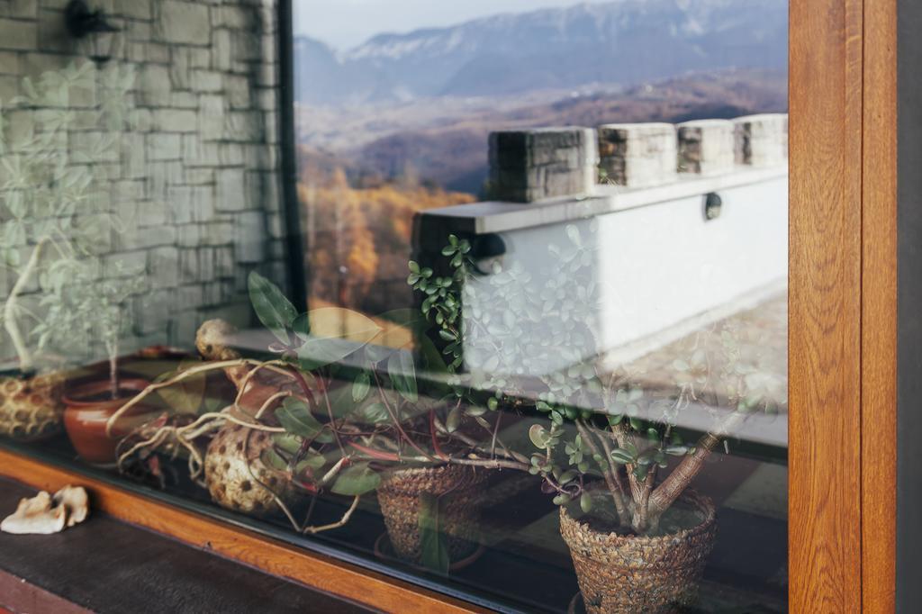 Drumul Carului Villa Moieciu de Jos Ngoại thất bức ảnh